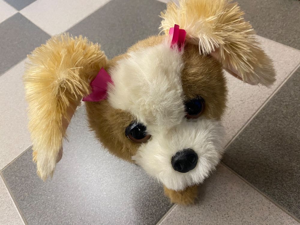  Kaufen auf Ricardo Illustration 