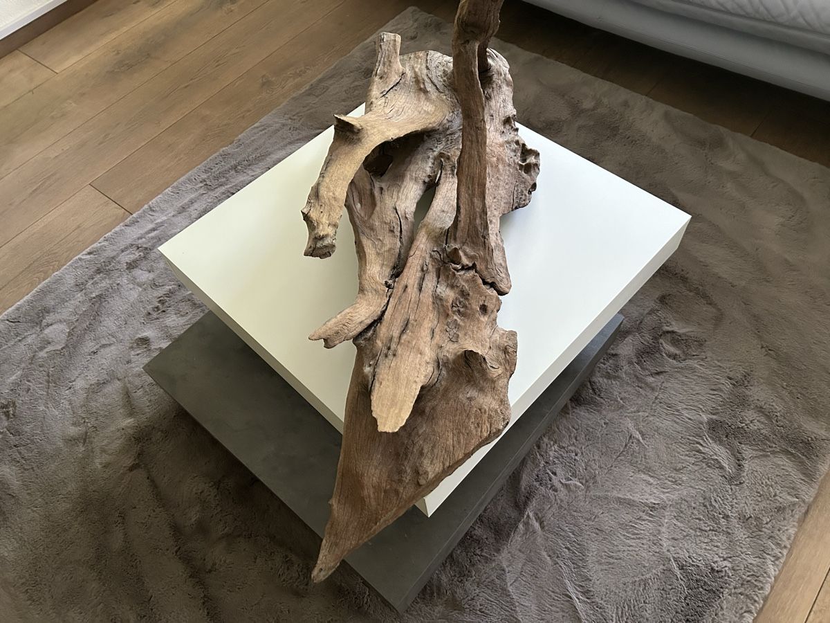 Aquarium: Aquarium / Terrarium Wurzel – Gebraucht aus Kölliken von smile062 2