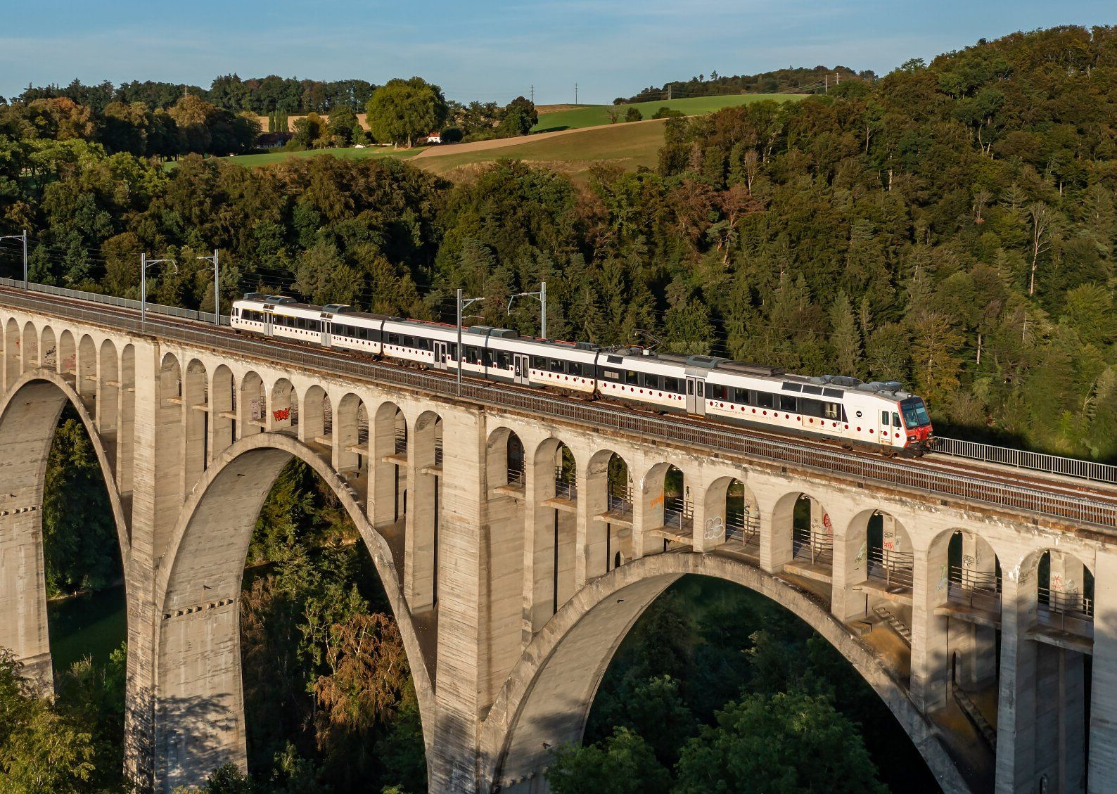 Liliput Modellini di ferrovie: Domino TPF Liliput HO – Usato da Sugiez venduto da 0NEFIVE 9