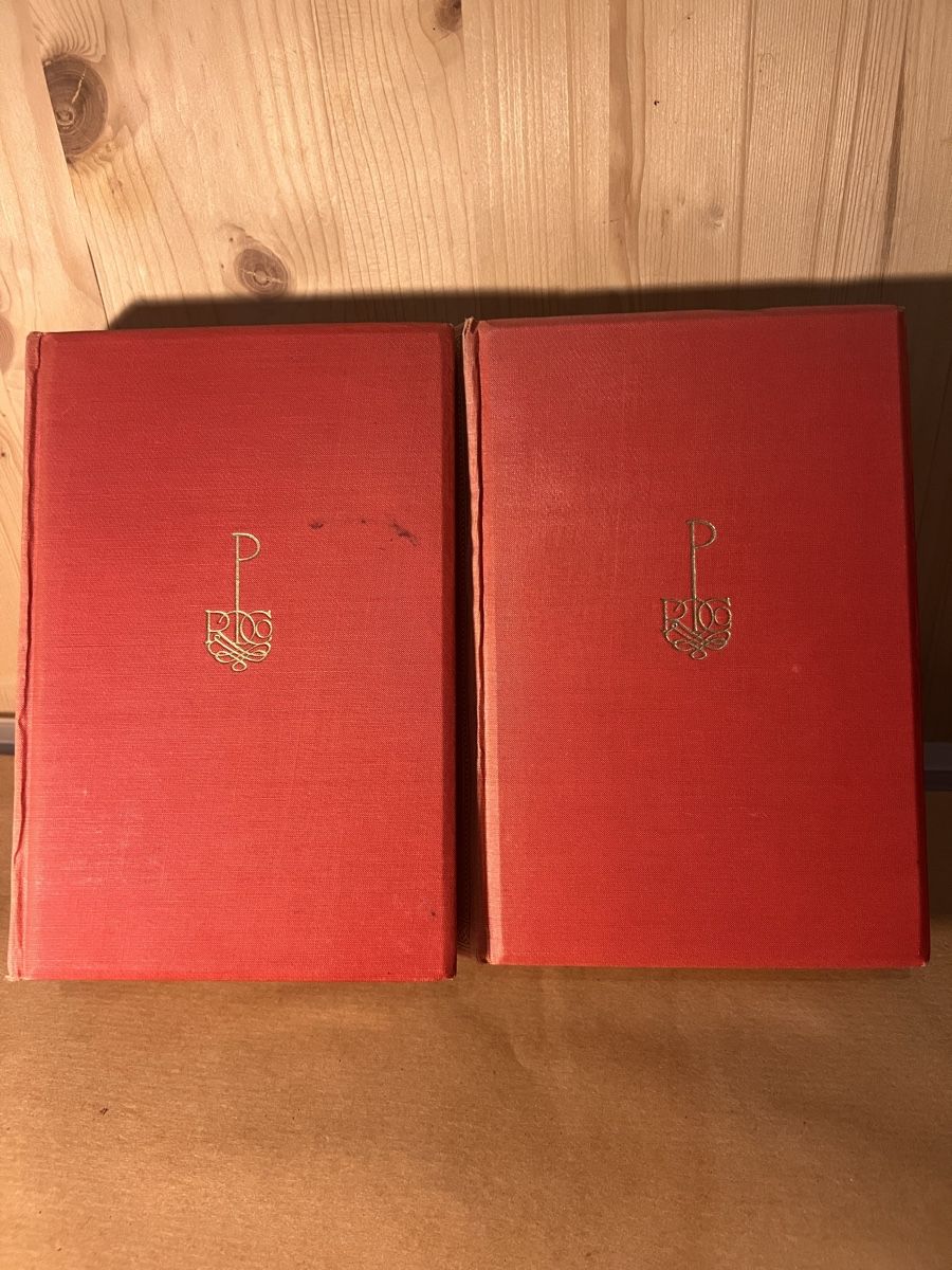 Libri: F. M. Dostojewski – Der Idiot – Usato da Muralto venduto da dan_pf8r 6