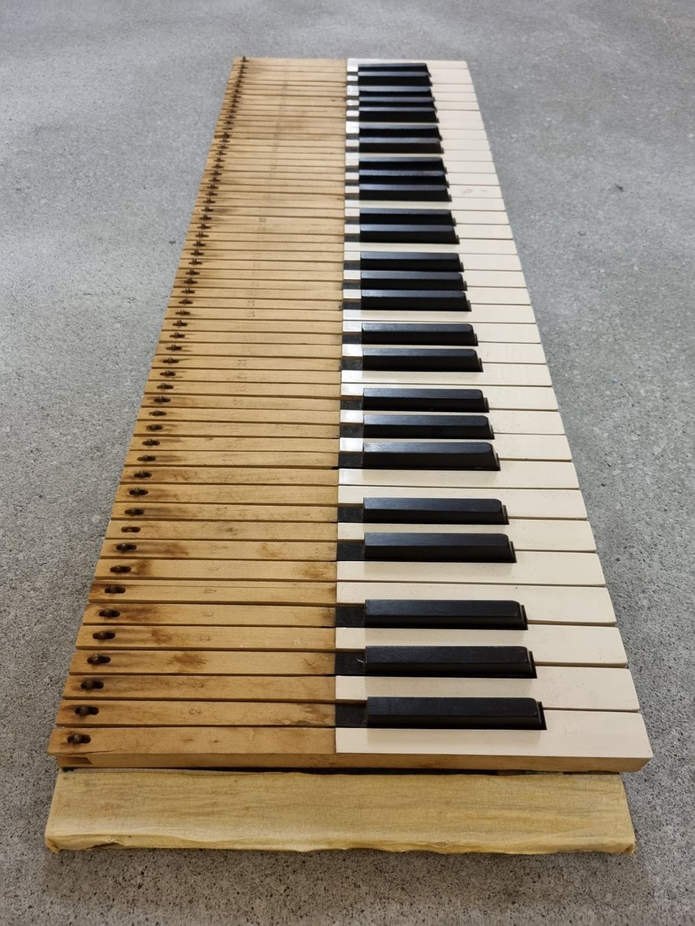 Strumenti musicali: Klaviertasten – Usato da Kriens venduto da Bazinga1