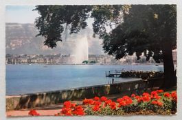 Genève - La Ville, le Jet d' Eau et le Salève