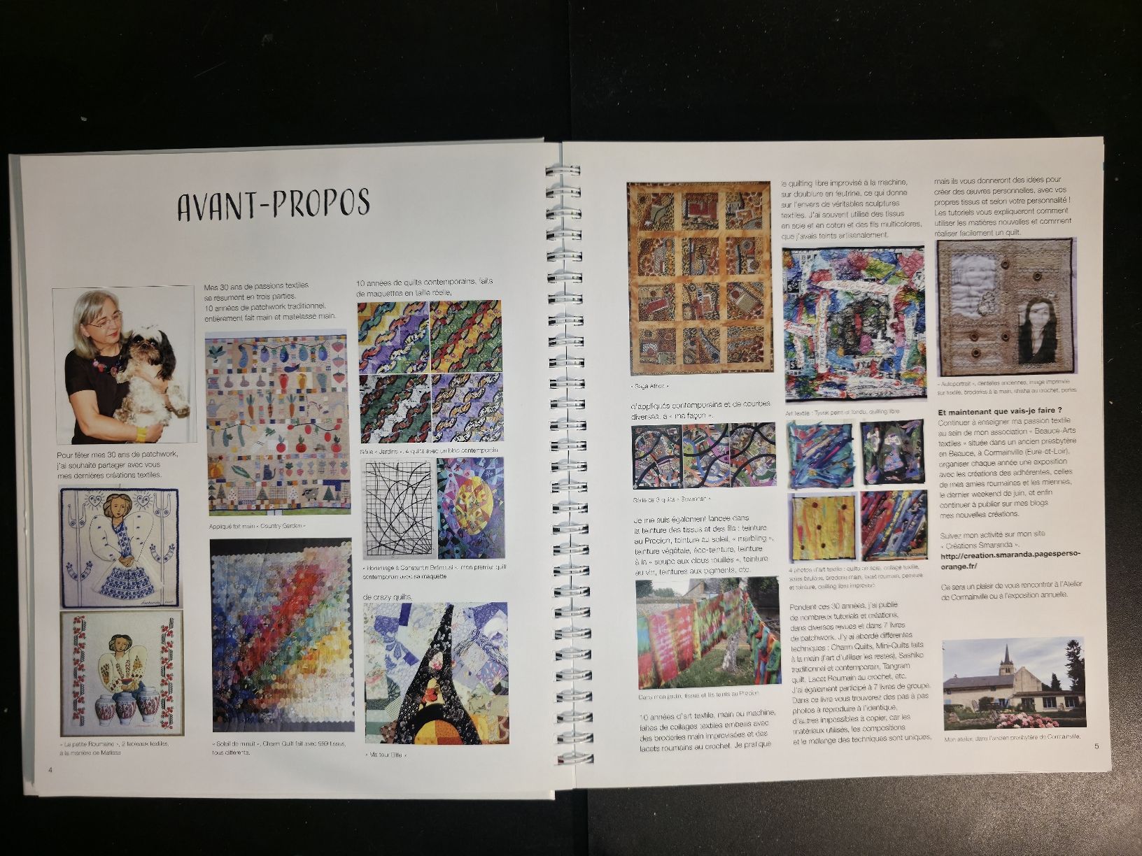 Libri: Guide Visuel De L'Art Textile Smaranda Bourgery Éds De Saxe – Nuovo (secondo la descrizione) da Montreux venduto da Edelweissgirl_64 2