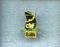 Billi  cliff