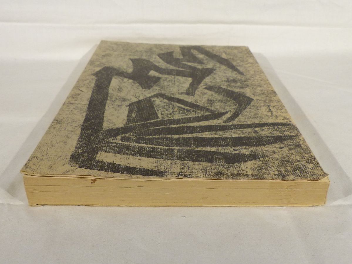 Libri: Gedanke und Inbild von Eugen Nerdinger (Kunstbuch) – Usato da Zürich venduto da botschinski 5