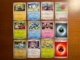 Pokemon 12er Karten Set (Versand gratis)