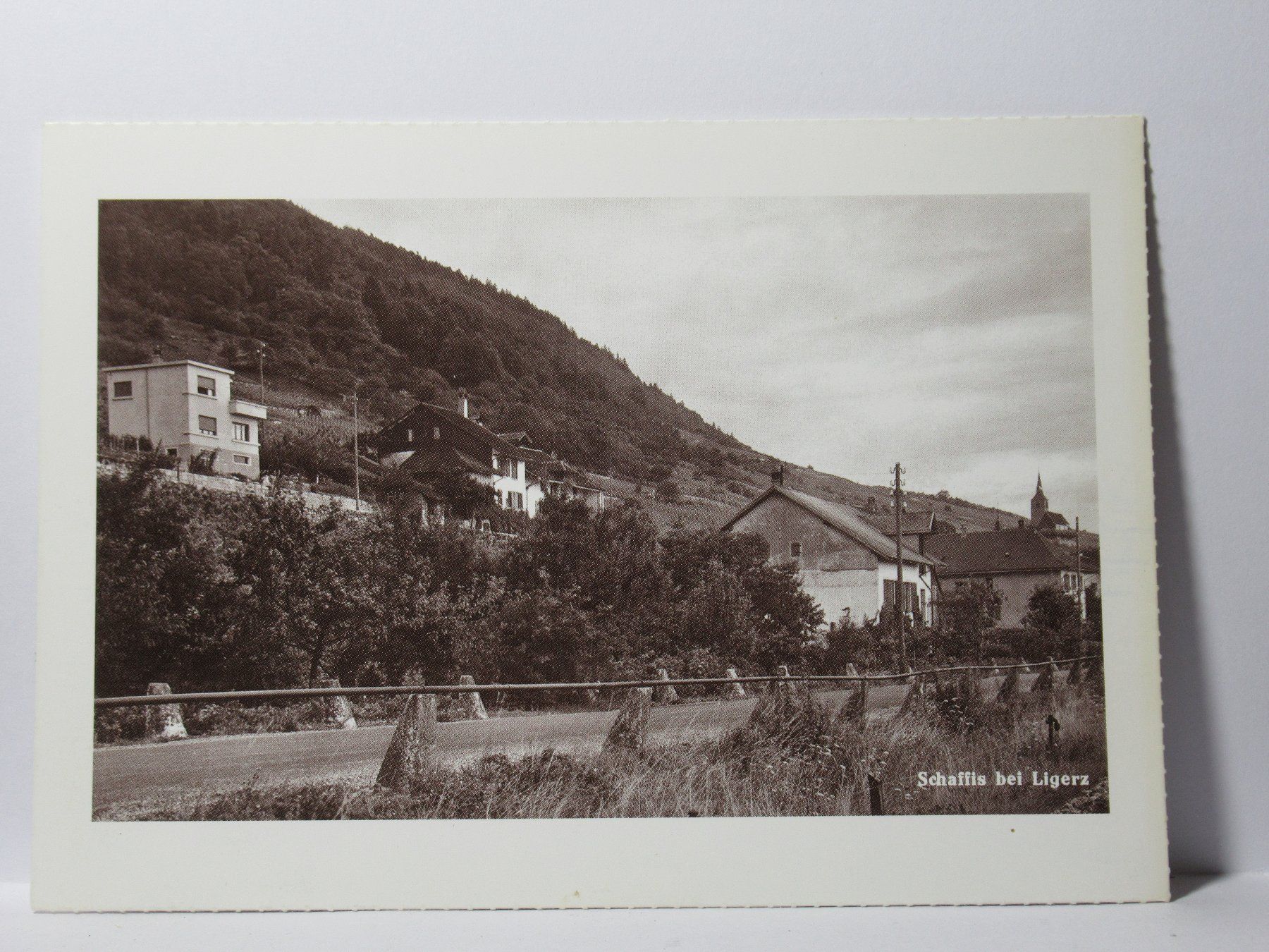 Cartes postales: Schaffis bei Ligerz – Neuf (Voir description) à Grenchen par Bluemchen1900