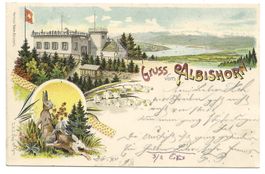 Gruss vom Albishorn (ZH) Gasthaus - Litho - Hausen - 1898 !
