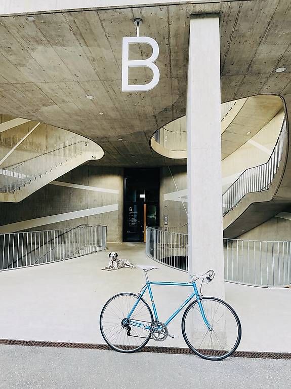 Biciclette: Vintage Rennvelo the French touch – Usato da Basel venduto da Probono