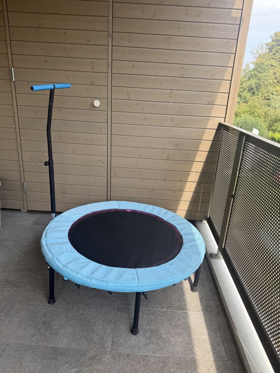 Trampolines: Mini Trampolin mit Haltegriff blau  – D'occasion à Brittnau par KimZinniker