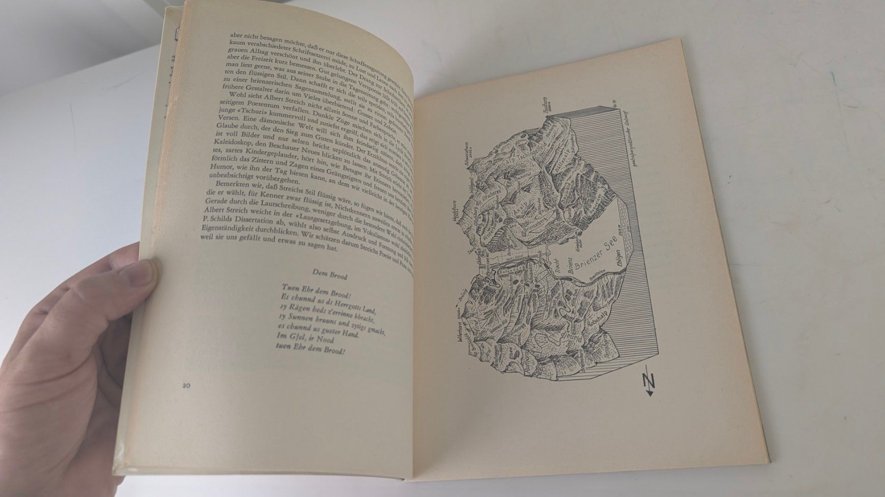 Libri: Berner Heimatbücher: Brienz 1959 – Usato da Zürich venduto da axolottchen 8