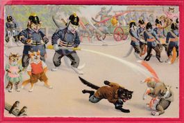 KATZENKARTE, FEUERWEHR MUSS EINGREIFEN!