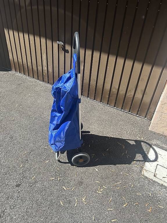 Carrelli di trasporto: Chariot de course pliable – Usato da Lausanne venduto da int_2vrq