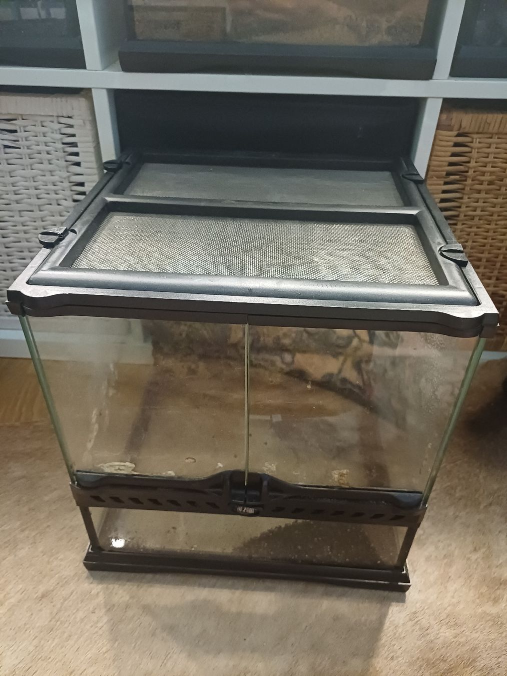 Terrario: exo Terra Terrarium 30x30x30 – Usato da Thalwil venduto da Skorp96