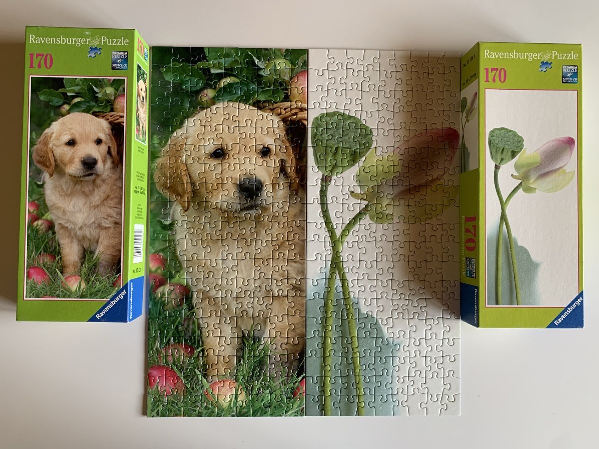 Puzzles: 2 Puzzles 🧩 Ravensburger (170 pièces ) – Neu (gemäss Beschreibung) aus Prilly von Sissi_1009