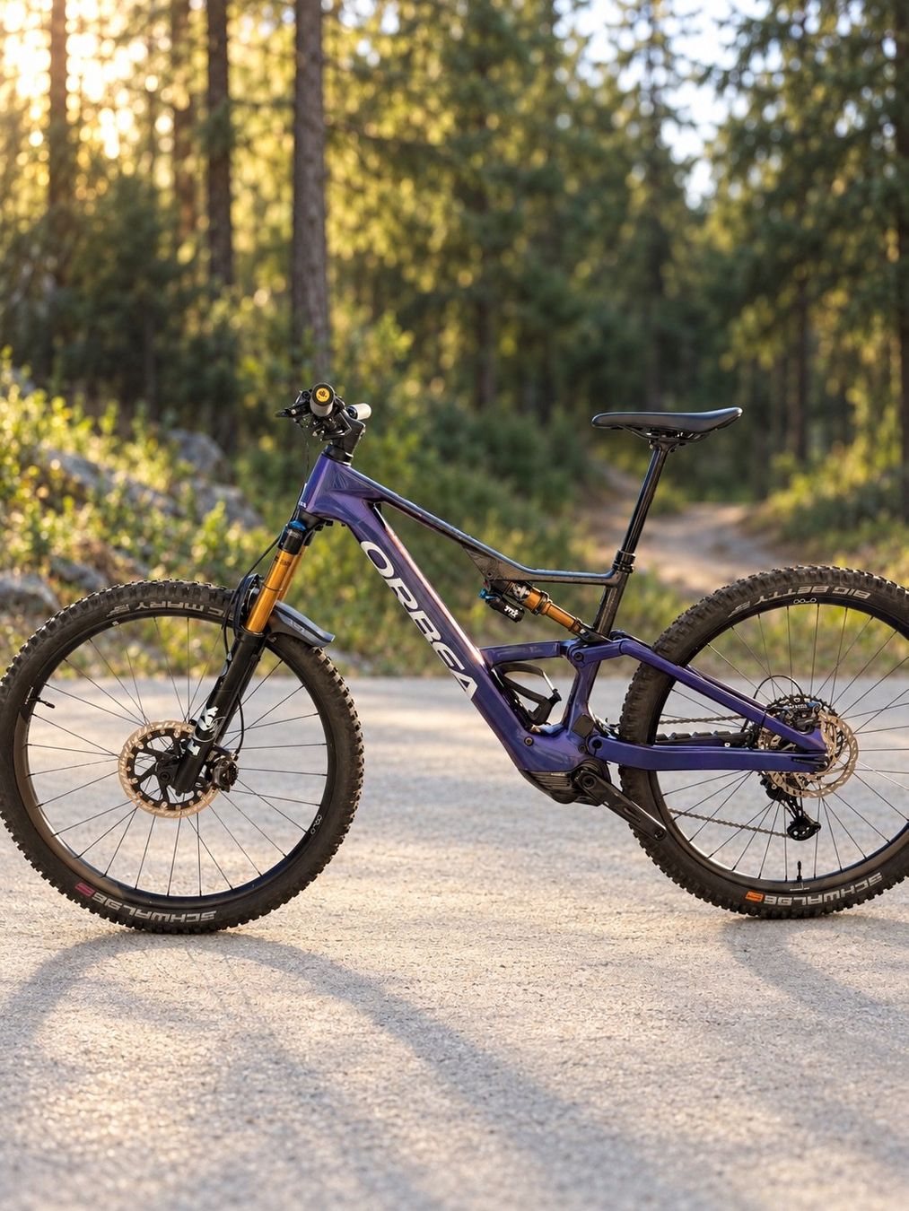 Orbea Biciclette: VTT électrique orbea rise lt 2025 – Usato da Athenaz (Avusy) venduto da arwenlb
