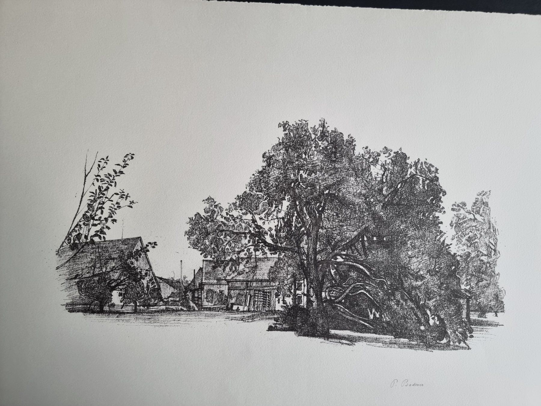 Grafiken & Lithographien: BODMER PAUL LITHOGRAPHIE SIGNIERT – Gebraucht aus Gersau von kunst-online