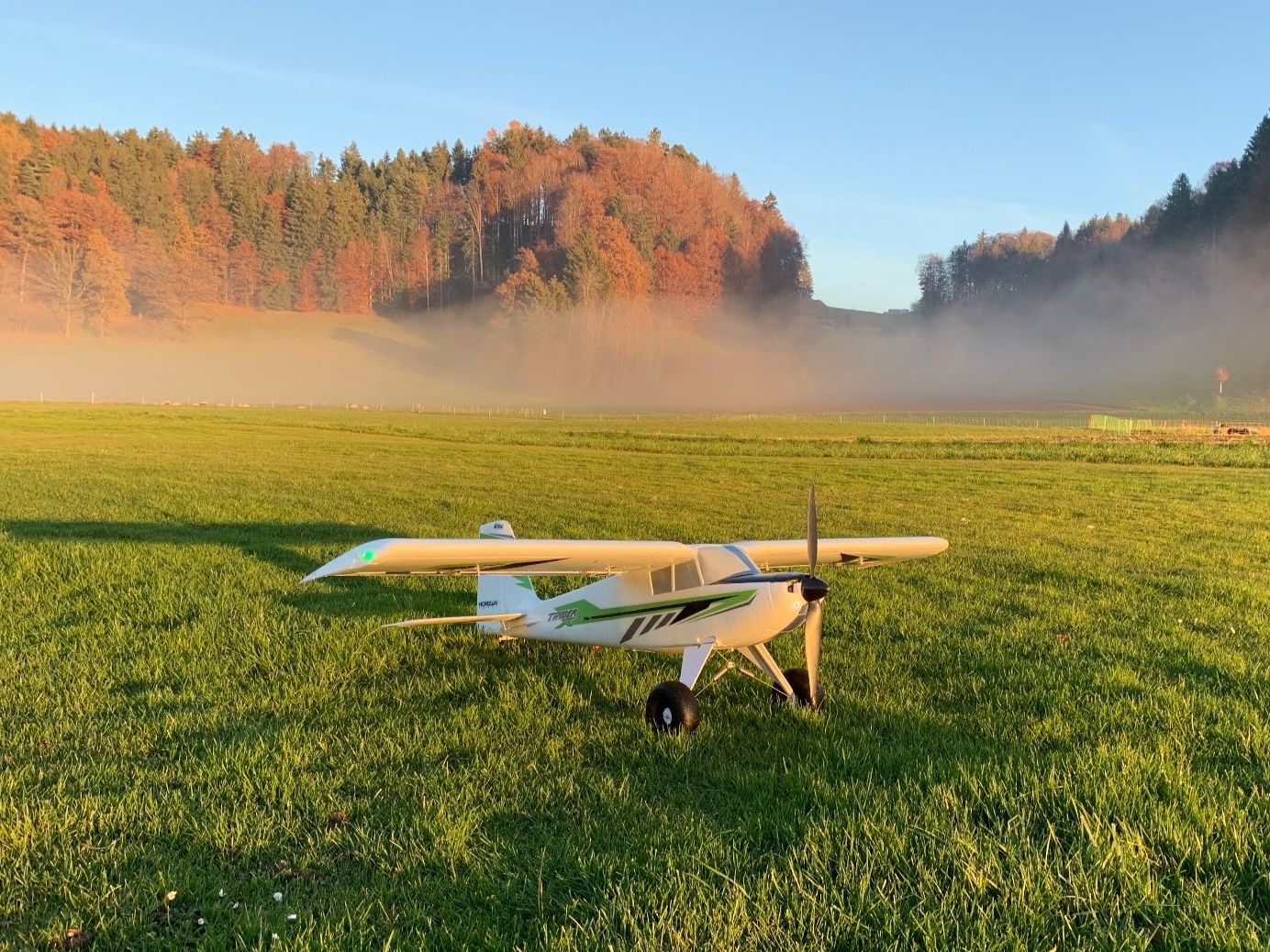 E-Flite RC Modellbau: E-Flite Timber X 1.2m PNP – Gebraucht aus Worb von asdf9876