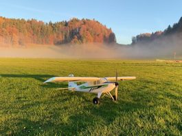 E-Flite Timber X 1.2m PNP