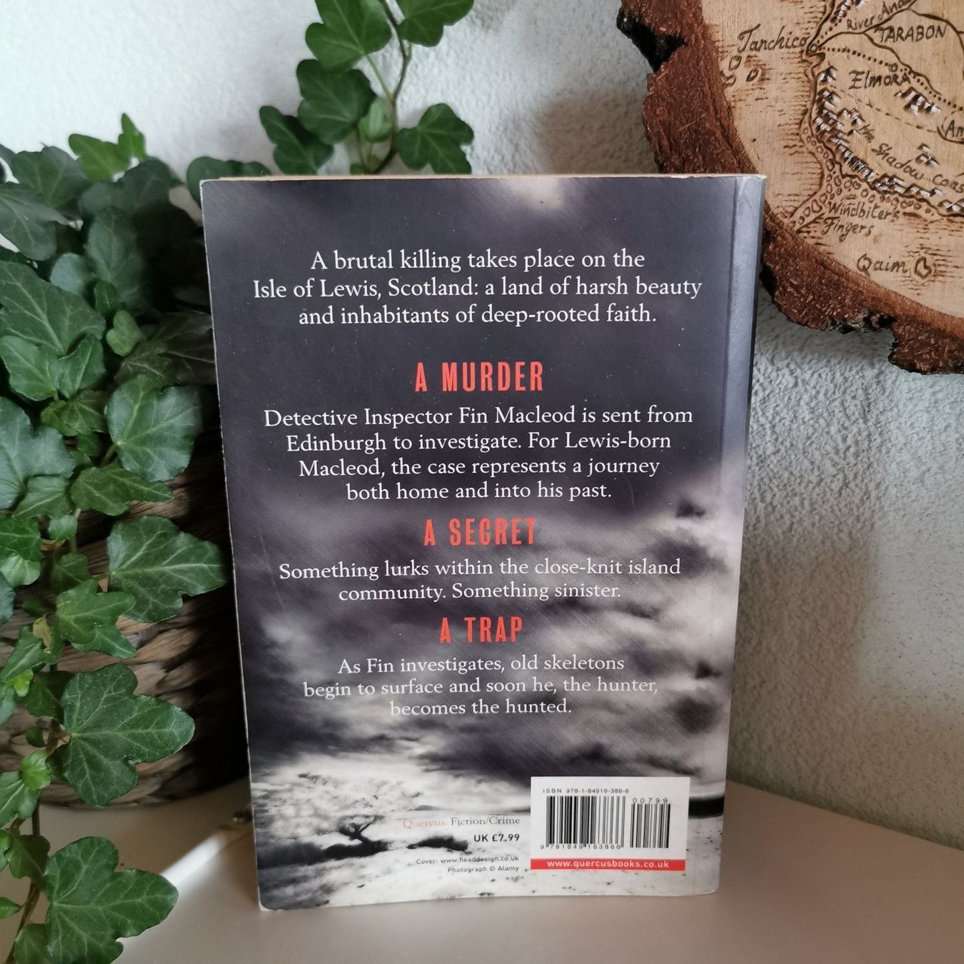 Bücher: The Bleak House - Peter May – Gebraucht aus Veytaux von lelivreouvert 2