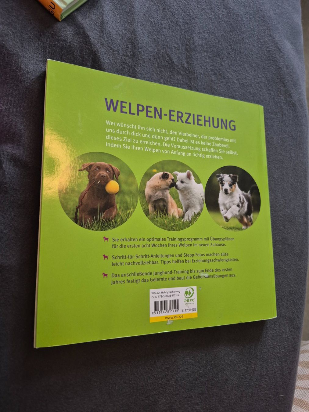 Libri: Welpenerziehung – Usato da Wettingen venduto da rue_27mw 1