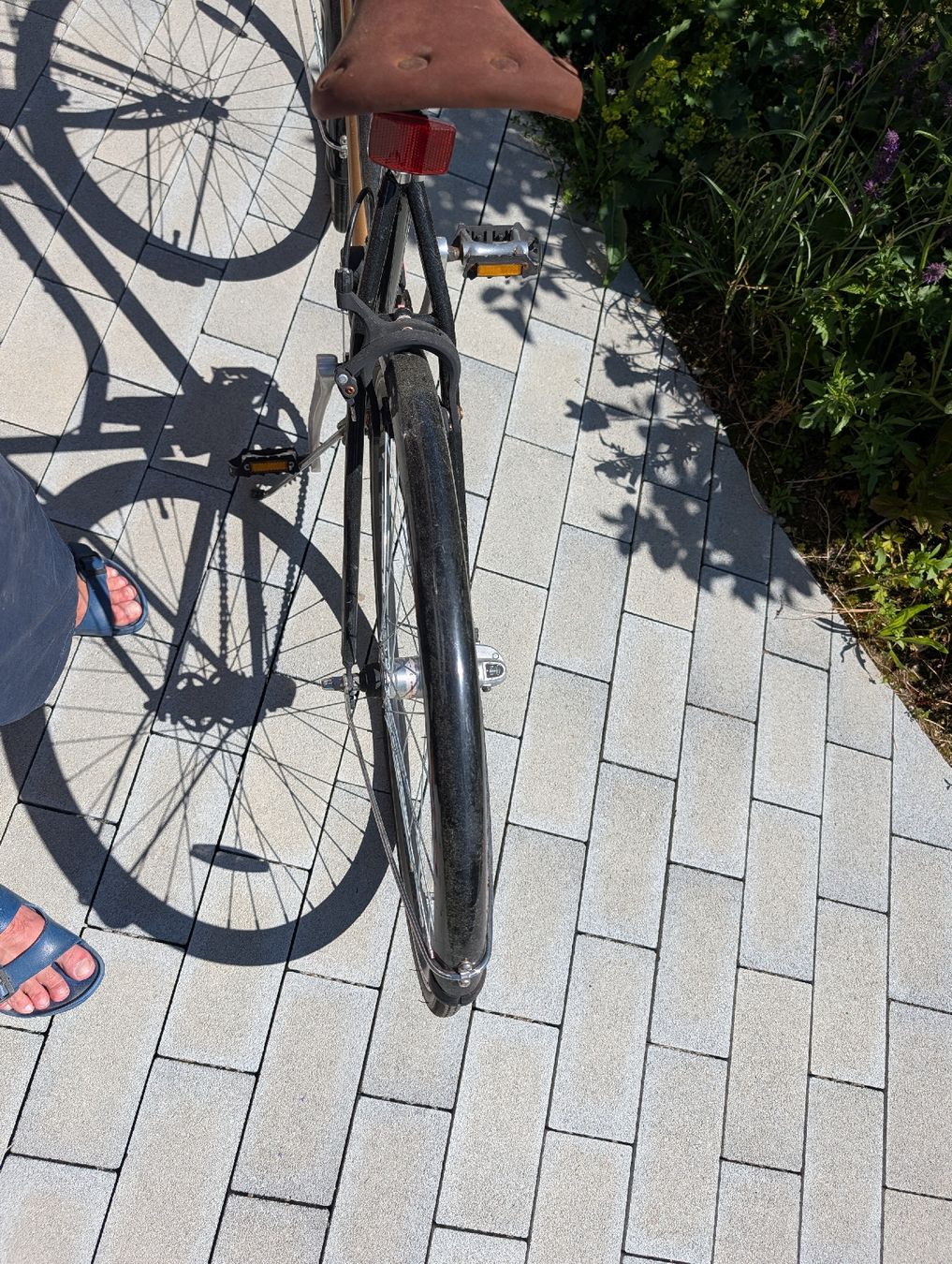 Velos: Damen Velo – Gebraucht aus Dietikon von Methadron 3