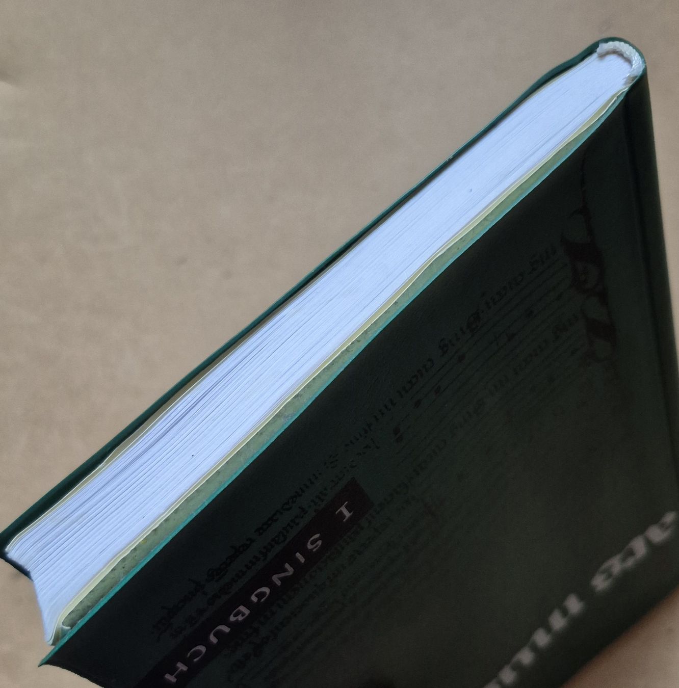 Libri: Sing Buch / Lieder Buch – Usato da Adliswil venduto da cha_fq9f 2