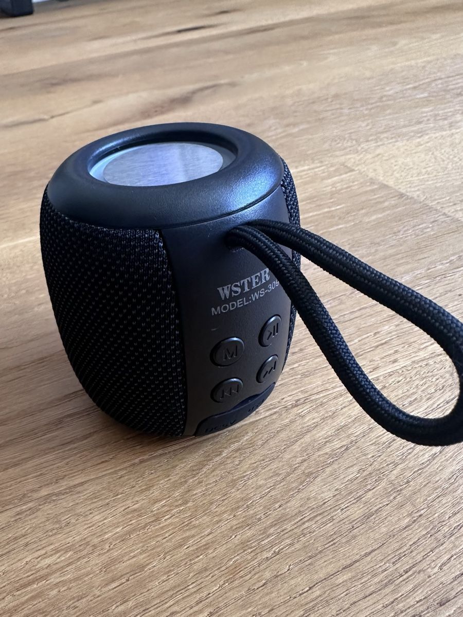 Casse acustiche: WSTER WS-309 Bluetooth Lautsprecher - Super Sound! – Nuovo (secondo la descrizione) da Schaffhausen venduto da mil_5l9l