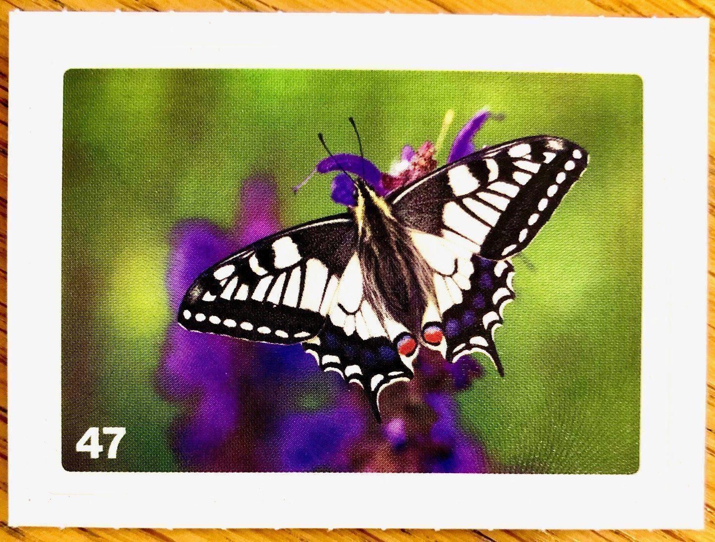Migros Carte collezionabili: Migros Nature Detectives - Bild Nr. 47 – Nuovo (secondo la descrizione) da Oberrieden venduto da Zimmerberg10
