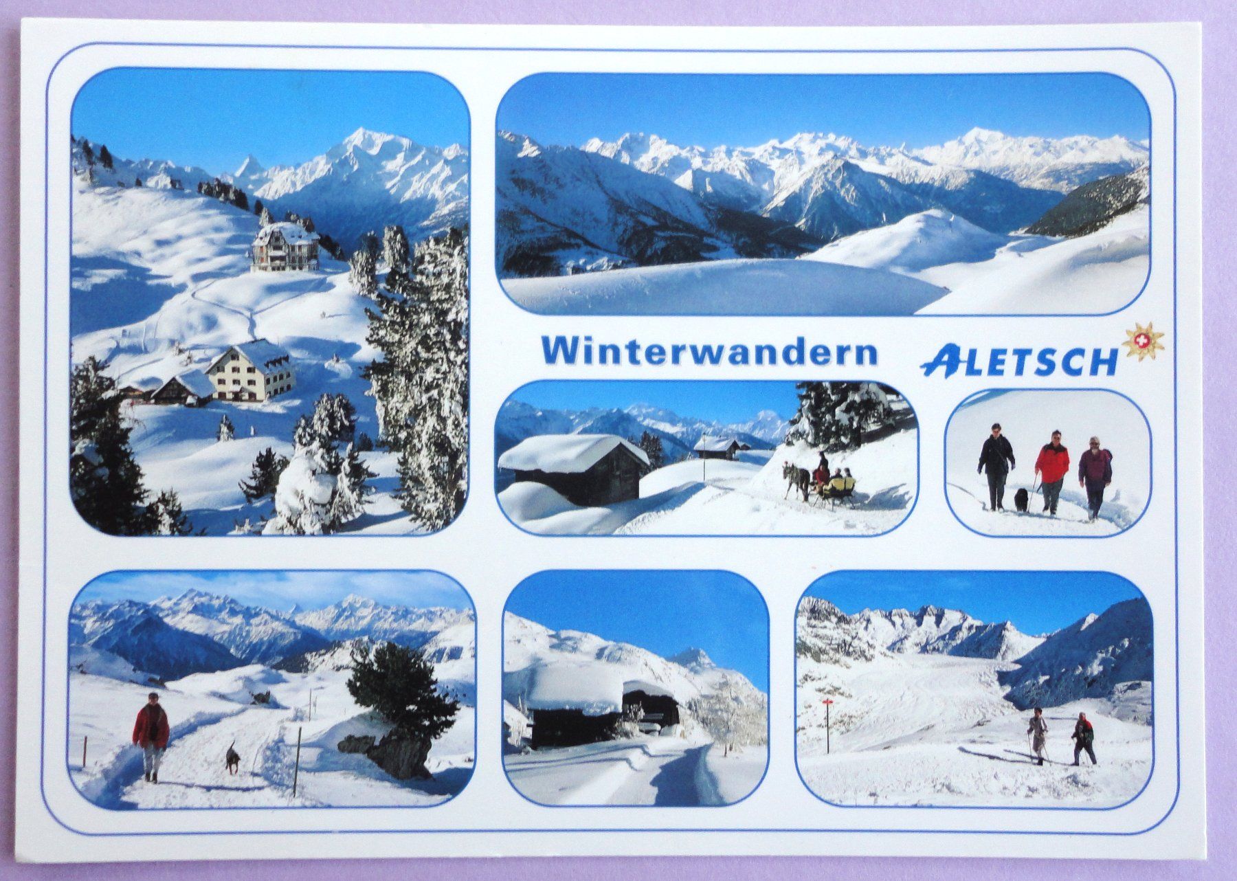 Ansichtskarten: Winterwandern Aletsch – Gebraucht aus Fétigny von Billy2miny