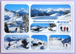 Winterwandern Aletsch
