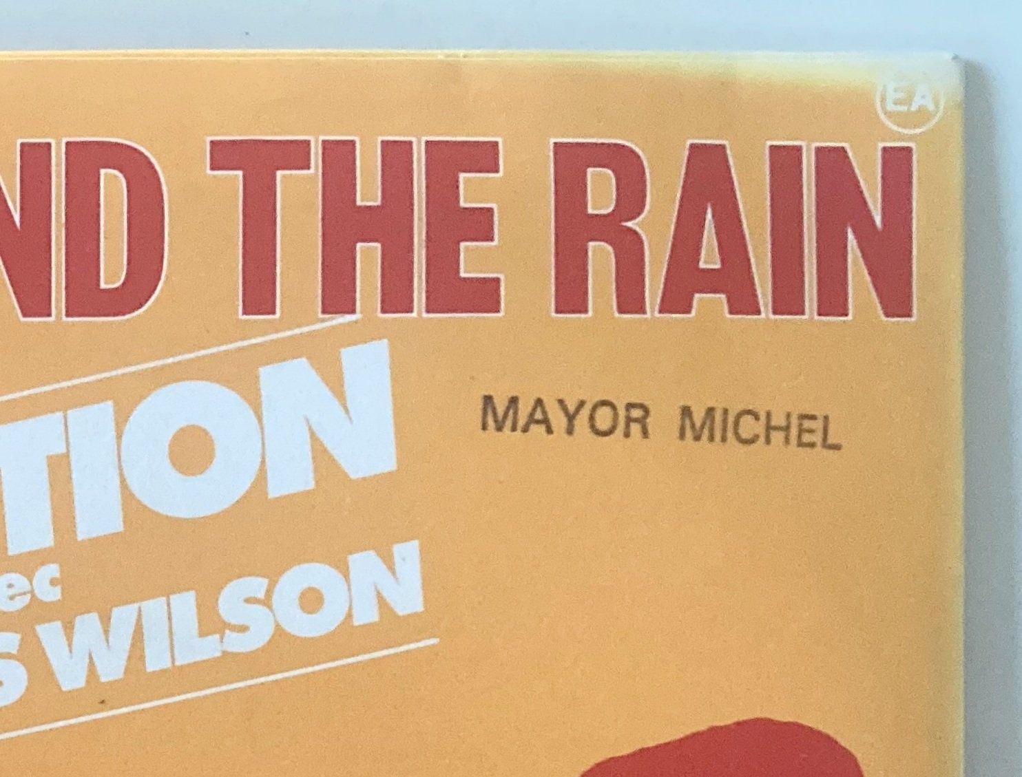 Dischi in vinile: ERUPTION - I CAN'T STAND THE RAIN – Usato da Bottens venduto da hotter-than-hell 3