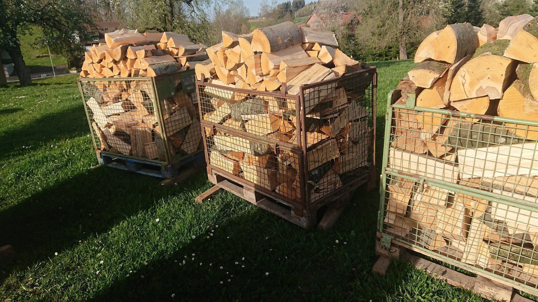 Articoli in legno: Brennholz, Chemineeholz, Scheiter, Ofen, Feuerschale – Nuovo (secondo la descrizione) da Nürensdorf venduto da Peterhakab 2
