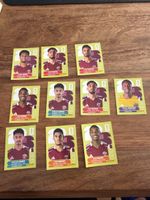 Panini Sammelbild Katar