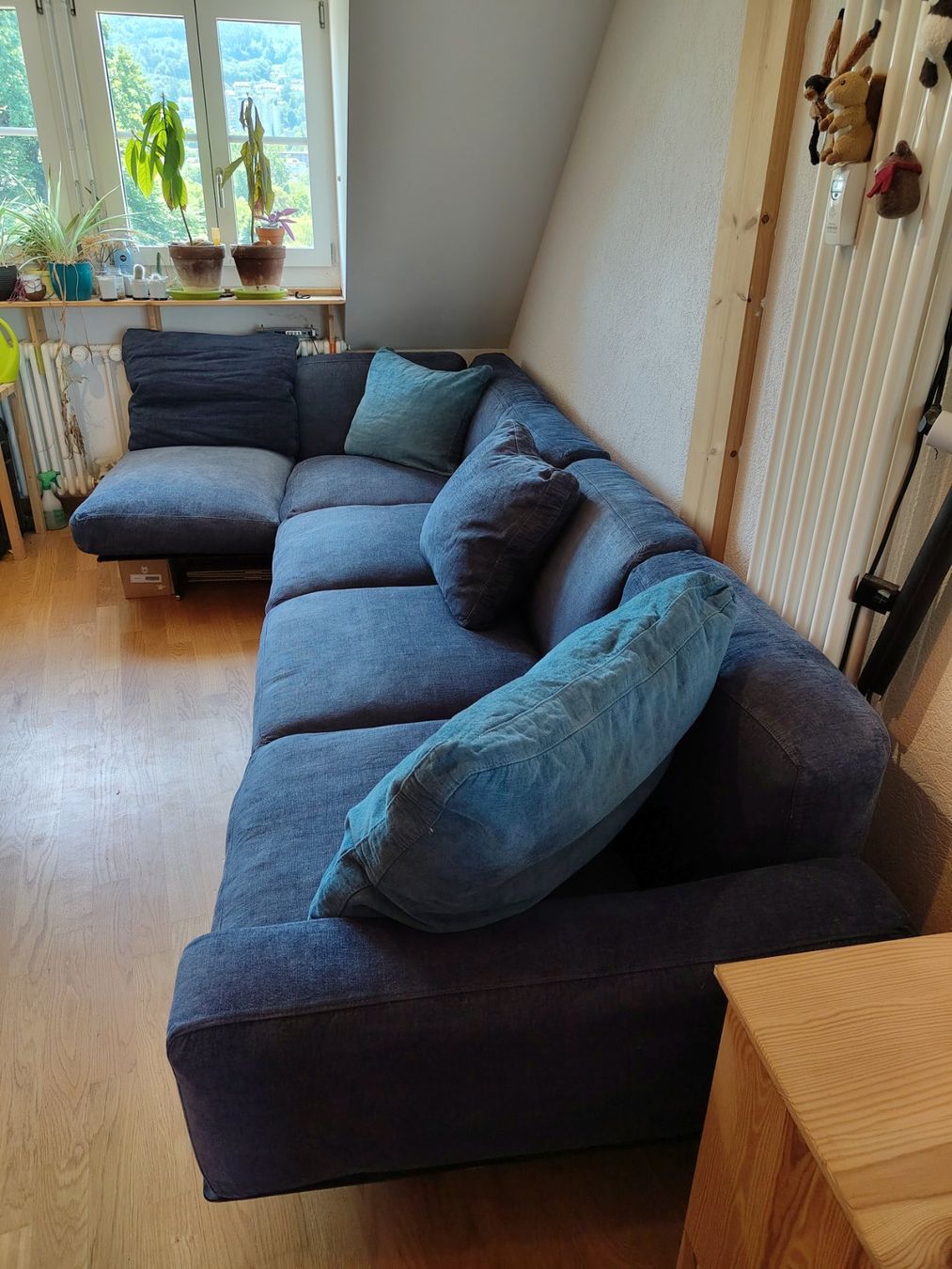 Flexform Sofas: Flexform Soft Dream Designer-Sofa – Gebraucht aus Bern von bra_l8xk 2