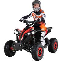 Elektro-Kinderquad Reneblade, Mini-Quad mit 1000 Watt