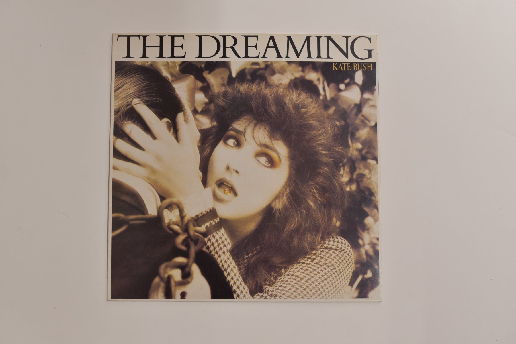 Dischi in vinile: Schallplatte Kate Bush - The Dreaming – Usato da Glis venduto da AtelierManus