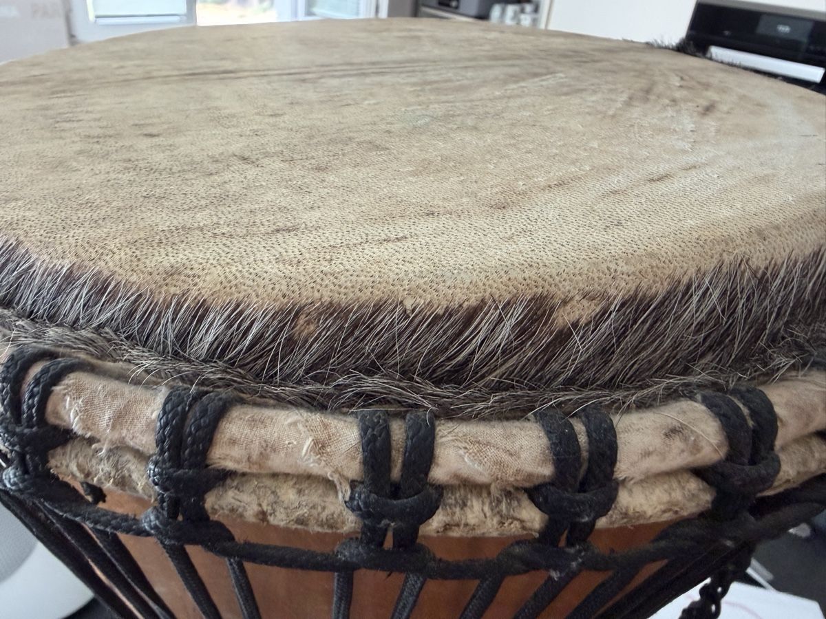 Strumenti musicali: Djembe Trommel Holz  – Usato da Oberkulm venduto da Sanamm 6