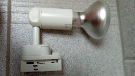 Spot für 3 Phasen Stromschiene inkl. Leuchtmittel