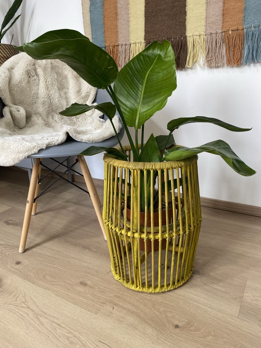 Interio Vasi per fiori: Stylischer Blumentopf Deko – Usato da Buchs ZH venduto da hipsternut