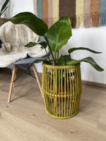 Stylischer Blumentopf Deko