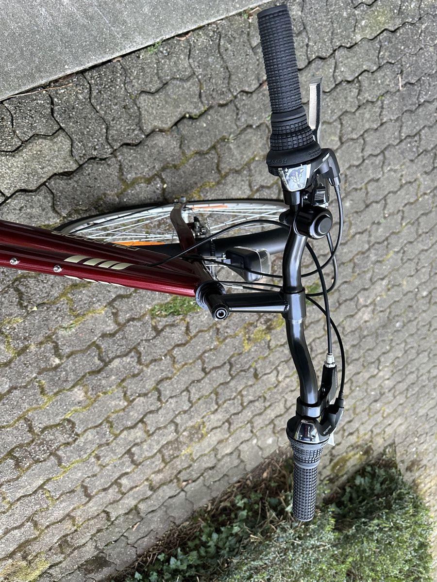 Biciclette: Velo – Nuovo (secondo la descrizione) da Zürich venduto da sanmugalingam01 1