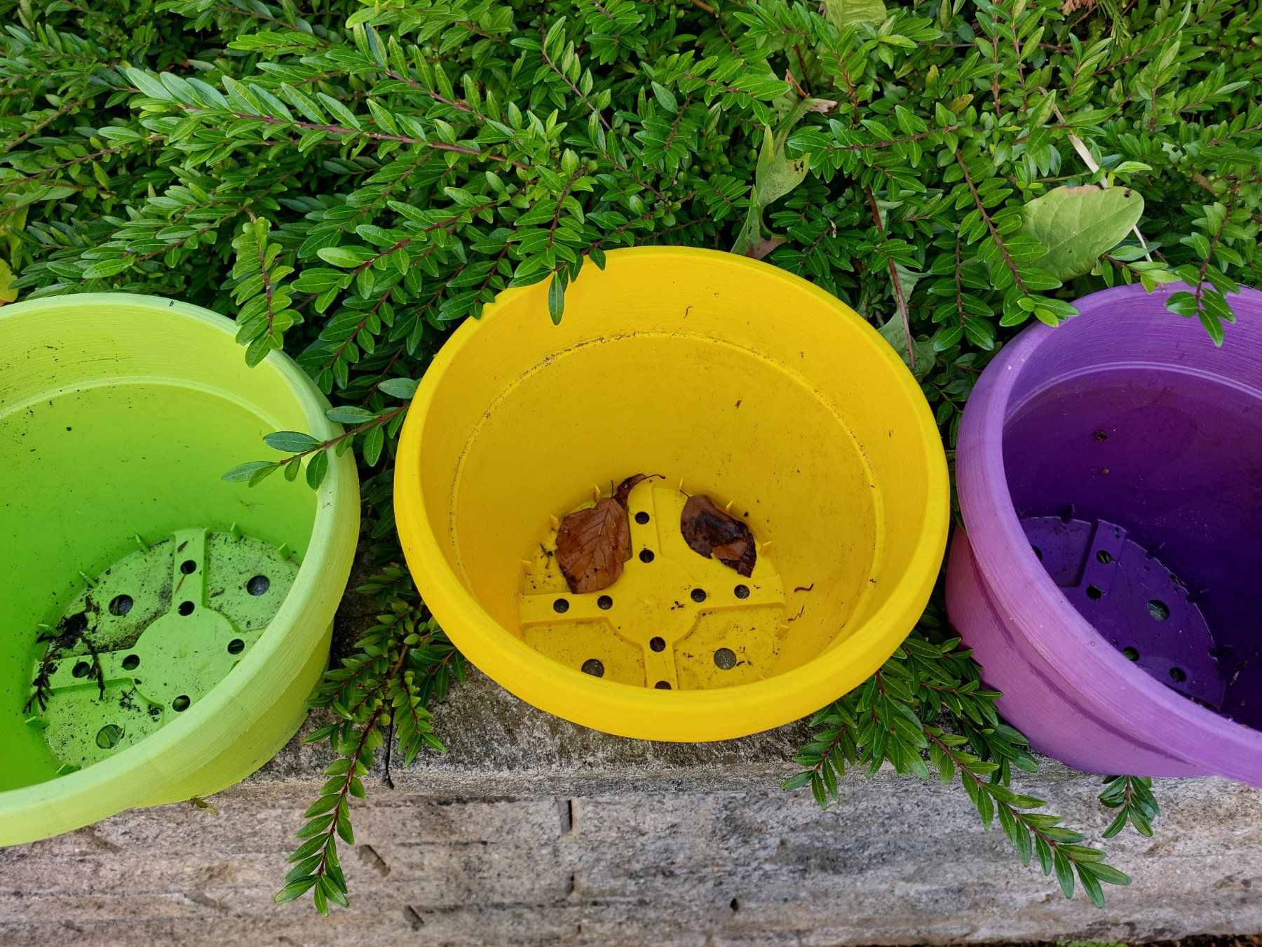 Vasi per fiori: 3er Set Blumentöpfe, verschiedene Farben – Usato da Büttikon AG venduto da lca_v7pb 1