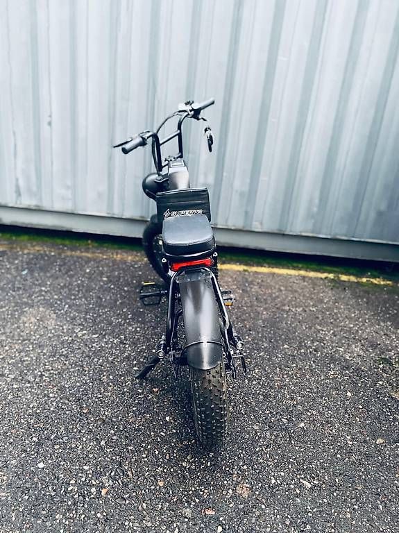 Biciclette: Super 73 e-bike mountainbike   – Usato da Reinach BL venduto da pan_pjc6 3