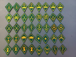 40 Kragenspiegel, grün, Infanterie