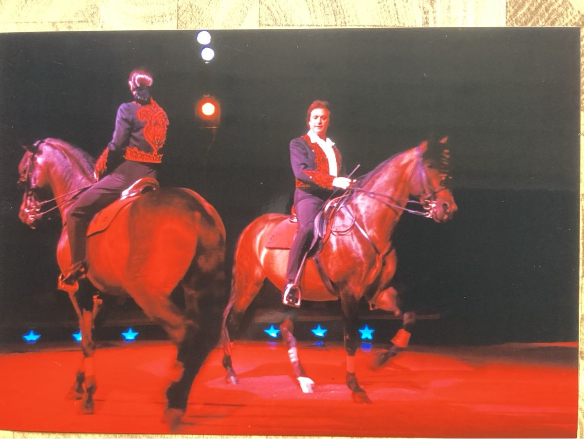 Foto & Immagini: Circus Knie Foto 1992 – Usato da Reichenbach i. K. venduto da astra2010