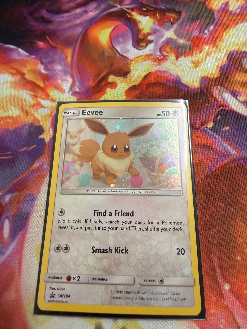 Pokémon Carte collezionabili: Eevee (SM 184) / Promo – Nuovo (secondo la descrizione) da Bülach venduto da CherryBlu