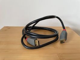 Cable DisplayPort HP