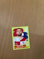 Panini Sticker