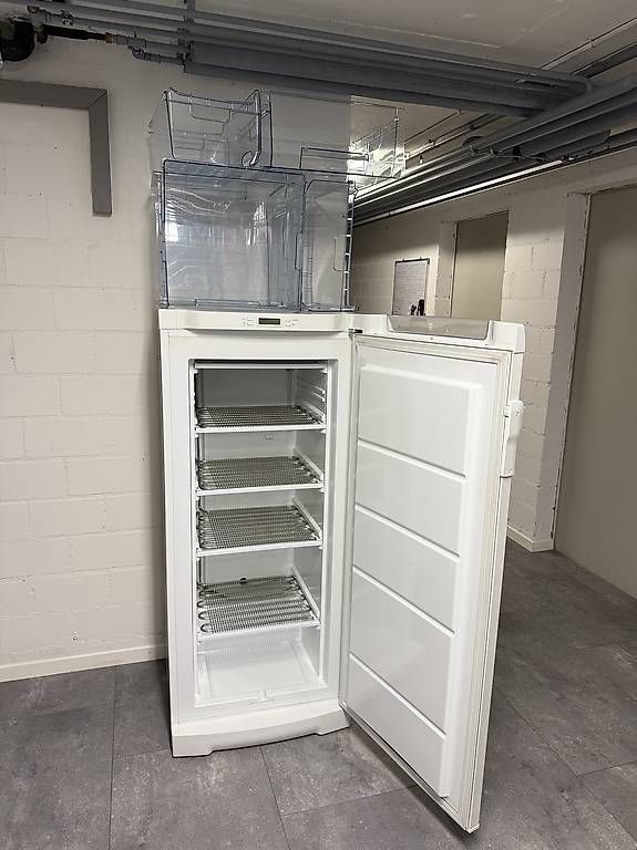 Gefrierschrank: Gefrierschrank Electrolux – Gebraucht aus Leuggern von e.sh13 2
